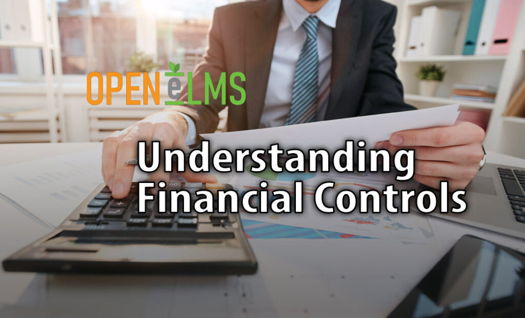 Understanding Financial Controls