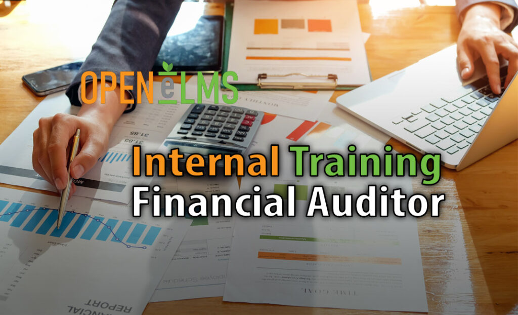 Internal Training Financial Auditor