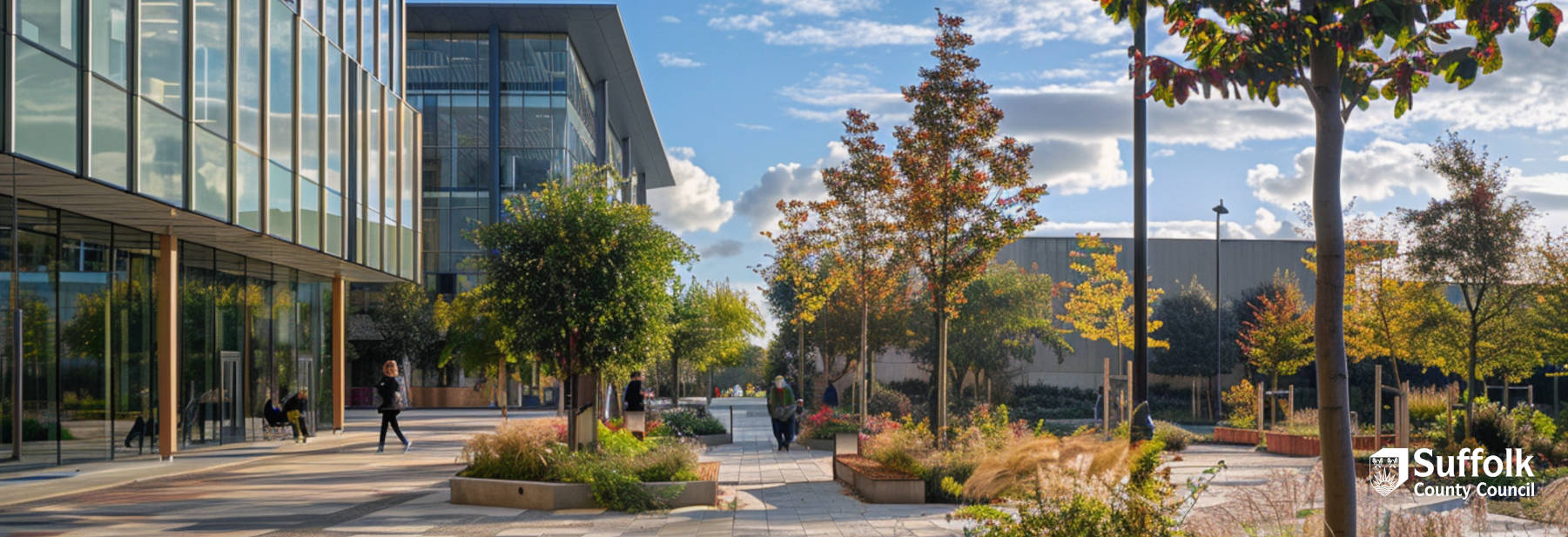 local council LMS case study